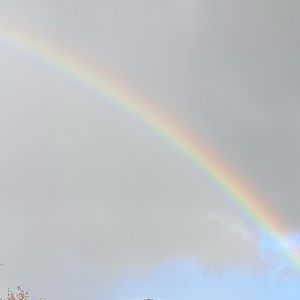 Meet your Posher, Odalys